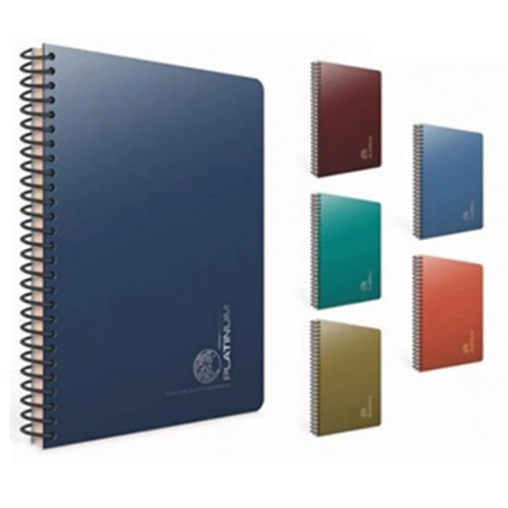  Gıpta Defter Platınum Spiralli Plastik Kapak A4 80 YP Çizgili