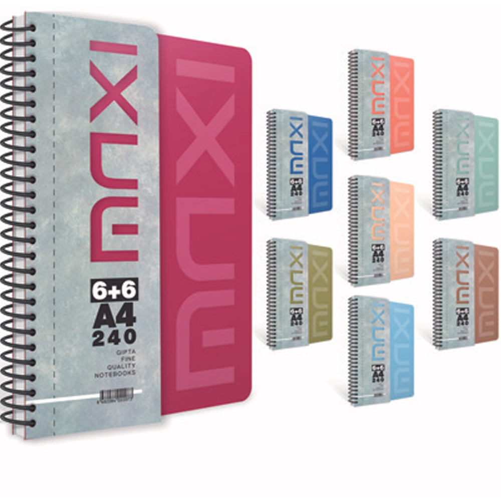  Gıpta Maxı Sp. Sep. Plastik Kapak Defter 17x24 150 Yp. 4+2