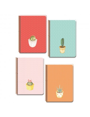  Keskin Color Spriralli Sert Kapak Saguaro Defter 20x28 100 YP Kareli