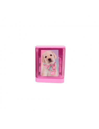  Dolphin Kalemtraş Studıo Pets Aynalı 24lü Paket