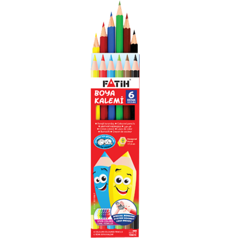  Fatih Kuru Boya Karton Kutu Tam Boy 6 Renk 33106